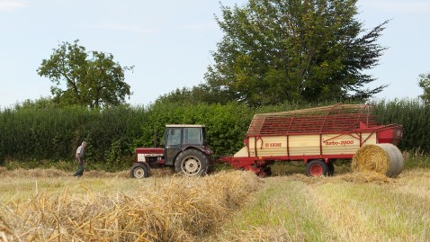 Ein Landwirt geht zu seinem Ladewagen auf dem Feld. 