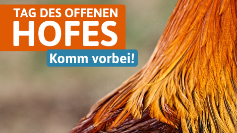 Tag des offenen Hofes digital