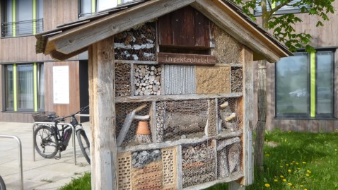 Insektenhotel