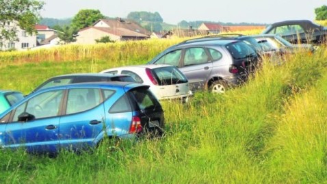 Auto auf Wiese