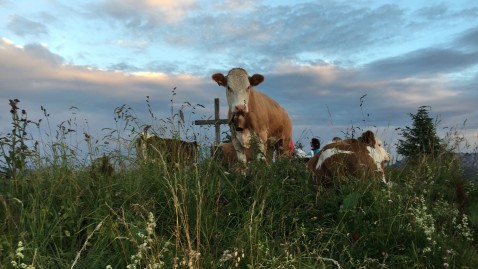 Zugspitztour der Landfrauen