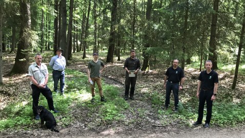 Naturverjüngung als Waldumbau