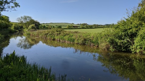 Flusslandschaft im Grünen