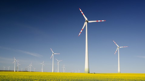 Windräder auf blühendem Rapsfeld