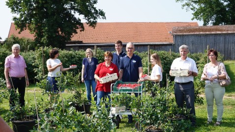 2021-07-29-Die Beeren sind reif