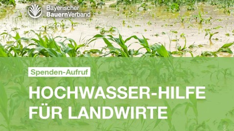 Hilfe für Betroffene