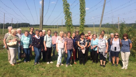 Halfinger Bäuerinnen bei der Hopfenernte