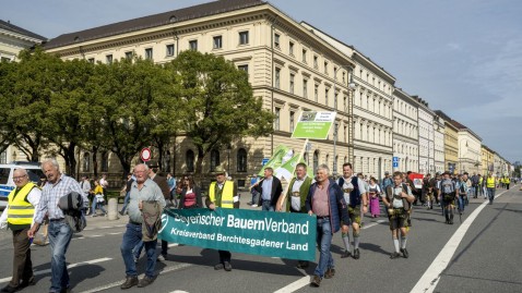 Demo Weidetiereschutz