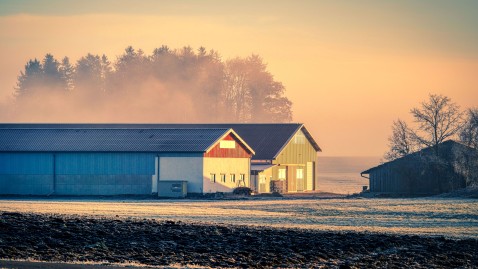 Landsiedlung