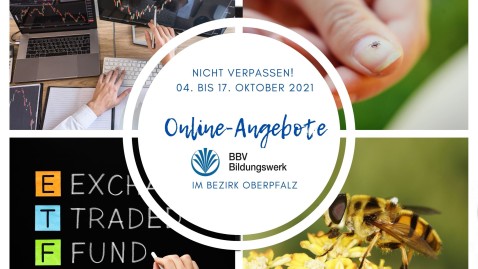 Bildermit Logo
