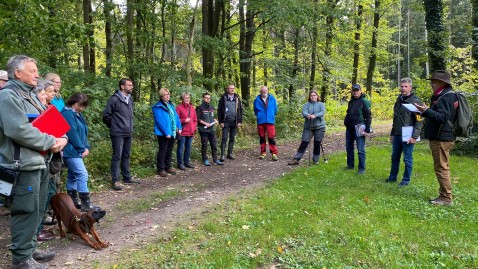 BBV und AELF