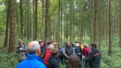 Waldbegehung
