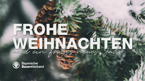 2021-12-21-Frohe-Weihnachten