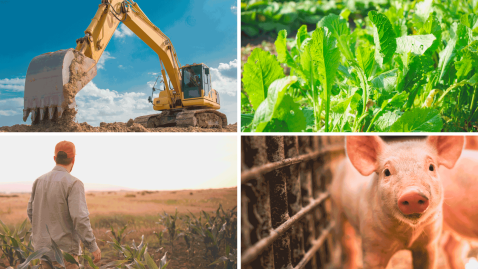 Bild-Collage Bagger, Pflanzen, Landwirt und Ferkel