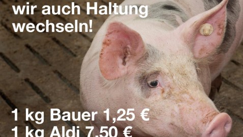 Haltungswechsel Schwein Aldi