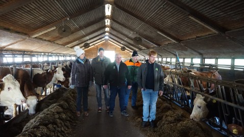 Stallgespräch in Welitsch