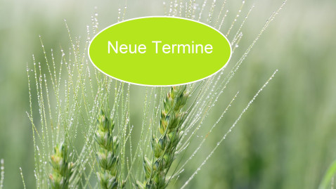 Pflanzenschutz