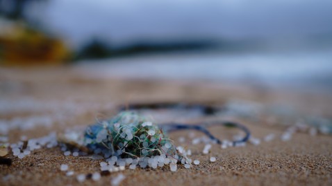 Mikroplastik