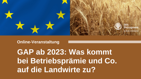GAP ab 2023