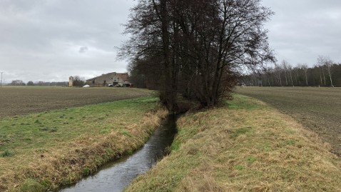 Gewässerrandstreifen