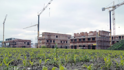 Baustelle hinter dem Maisfeld