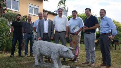 naehrstoffberechnung benachteiligt schweinehaltung
