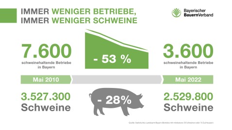 Schweine