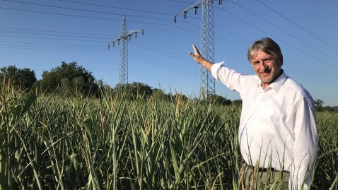 Günther Felßner Strommasten