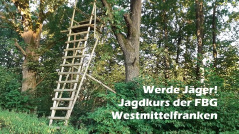 Jägerstand im Wald