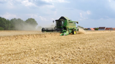 Mähdrescher auf dem Feld