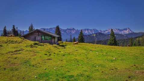 Krüner Alm 