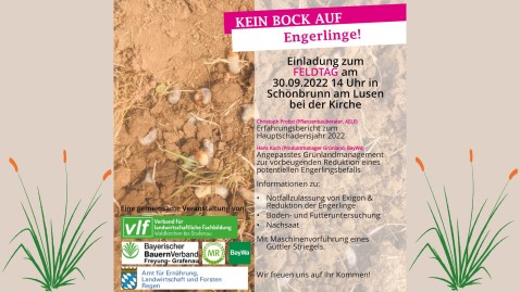 feldtag_frg_vlf.jpg