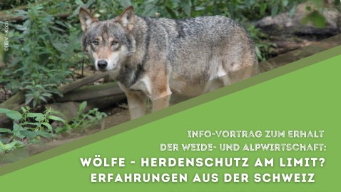 Plakat zur Veranstaltung. Das Bild zeigt einen Wolf. 