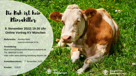 Share Pic - Die kuh ist kein Klimakiller