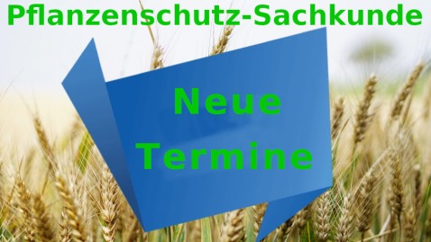 PSK - Neue Termine GST Nbg