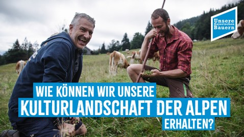 Wie können wir unsere Kulturlandschaft der Alpen erhalten?