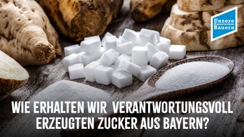 Zuckerwürfel auf einem Tisch