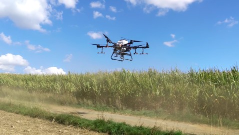 Einsatz Drohne Landwirtschaft 