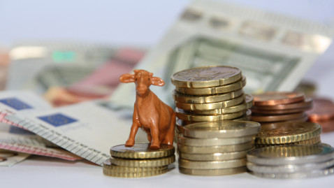 Geld und Kuh