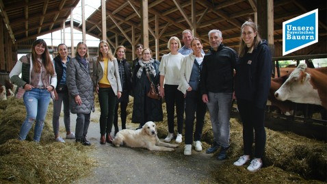 Zwölf Personen bzw. Influencer/innen in einem Kuhstall