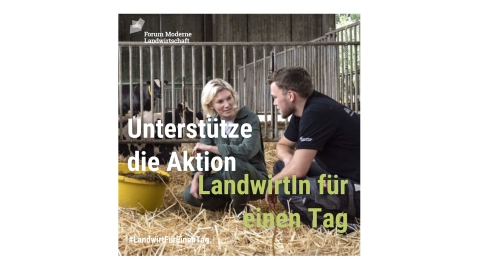 Landwirt für einen Tag 