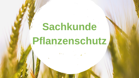 Pflanzenschutz