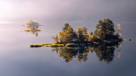 Bauminsel im Wasser