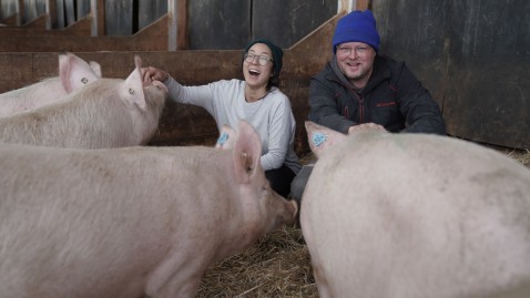 Zwei Personen im Schweinestall mit vier Schweinen