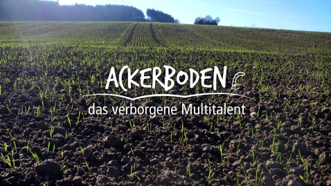 Der Ackerboden