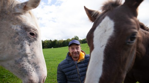 Zwei Pferde im Vordergrund, Mann auf Wiese im Hintergrund