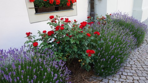 Landfrauentag