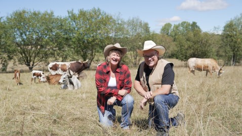 Zwei Personen knien in Feld, im Hintergrund Rinder