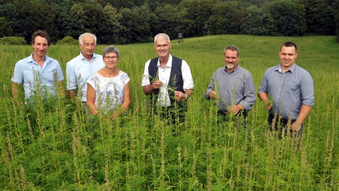 Die Vertreter des BBV am oberfränkischen Erntepressegespräch 2023 an einem Nutzhanf-Feld