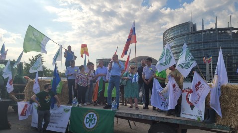 Demo Straßburg NRL